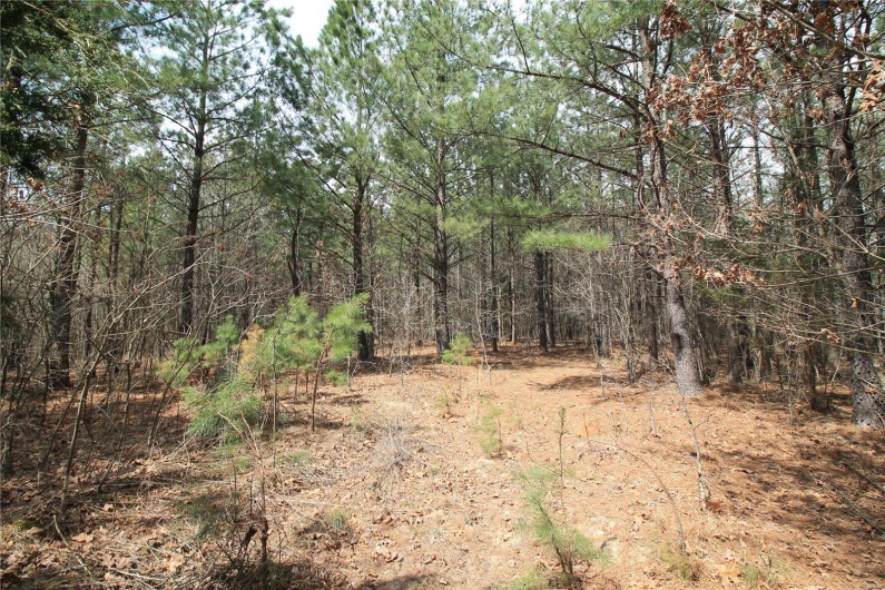0 Madison CR 411 (130), Fredericktown, Missouri 63645, ,Farm,For Sale,Madison CR 411 (130),MAR25015883