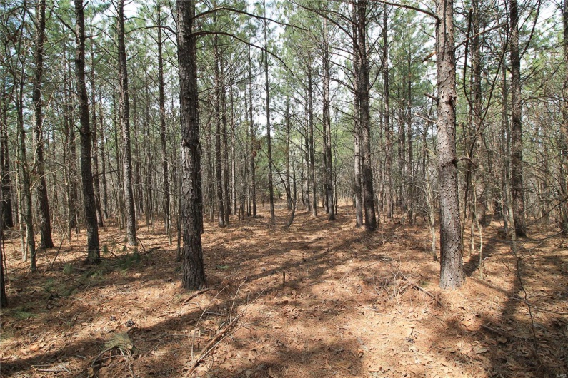 0 Madison CR 411 (130), Fredericktown, Missouri 63645, ,Farm,For Sale,Madison CR 411 (130),MAR25015883