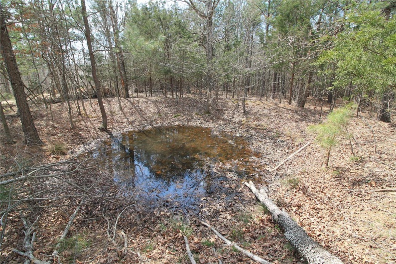 0 Madison CR 411 (130), Fredericktown, Missouri 63645, ,Farm,For Sale,Madison CR 411 (130),MAR25015883