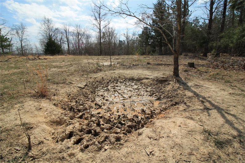0 Madison CR 411 (130), Fredericktown, Missouri 63645, ,Farm,For Sale,Madison CR 411 (130),MAR25015883