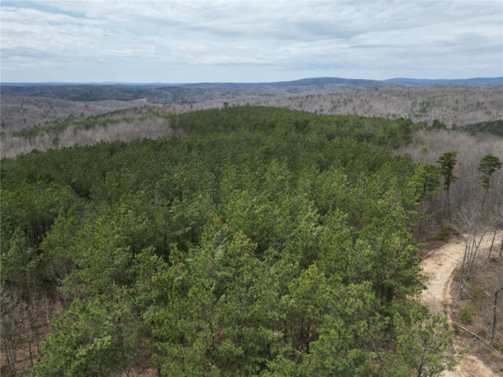 0 Madison CR 411 (130), Fredericktown, Missouri 63645, ,Farm,For Sale,Madison CR 411 (130),MAR25015883