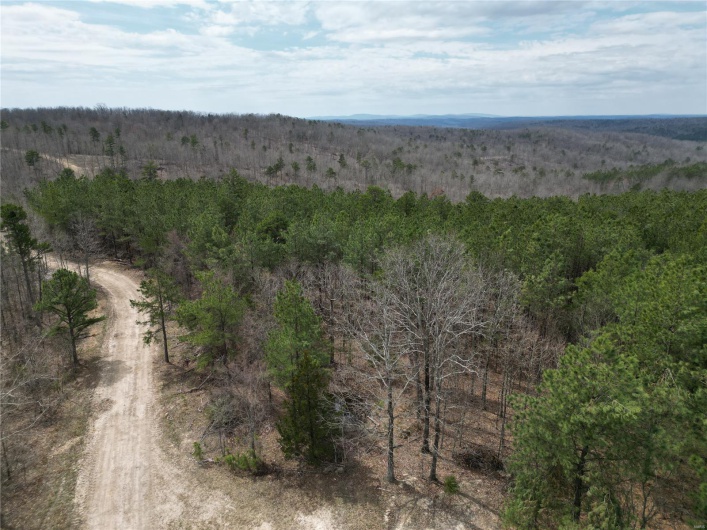 0 Madison CR 411 (130), Fredericktown, Missouri 63645, ,Farm,For Sale,Madison CR 411 (130),MAR25015883