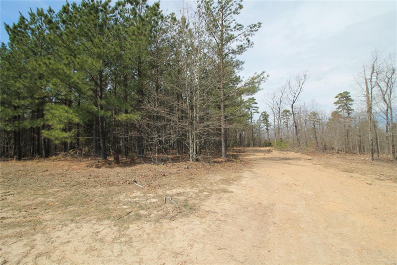 0 Madison CR 411 (130), Fredericktown, Missouri 63645, ,Farm,For Sale,Madison CR 411 (130),MAR25015883