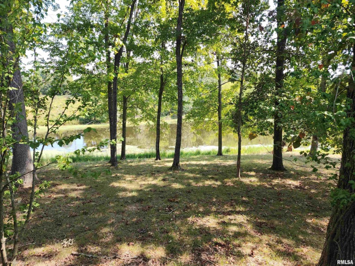 1230 US Hwy 45 N, Vienna, Illinois 62995, 4 Bedrooms Bedrooms, 0 ,2 BathroomsBathrooms,Residential,For Sale,US Hwy 45 N,0,RMAQC4261732