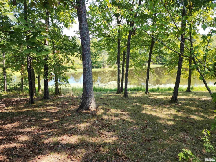 1230 US Hwy 45 N, Vienna, Illinois 62995, 4 Bedrooms Bedrooms, 0 ,2 BathroomsBathrooms,Residential,For Sale,US Hwy 45 N,0,RMAQC4261732
