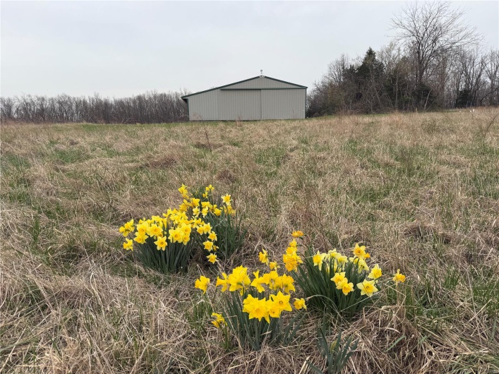 4 BCR 924, Patton, Missouri 63662, ,Farm,For Sale,BCR 924,MAR25018059