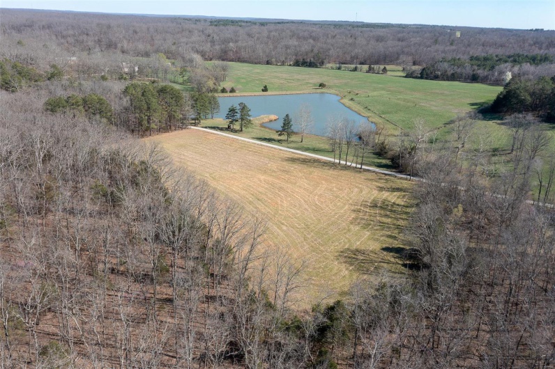 4 BCR 924, Patton, Missouri 63662, ,Farm,For Sale,BCR 924,MAR25018059
