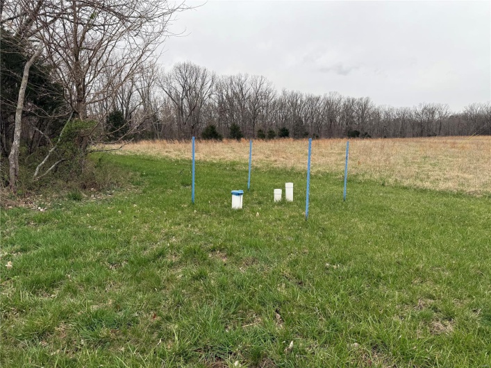 4 BCR 924, Patton, Missouri 63662, ,Farm,For Sale,BCR 924,MAR25018059