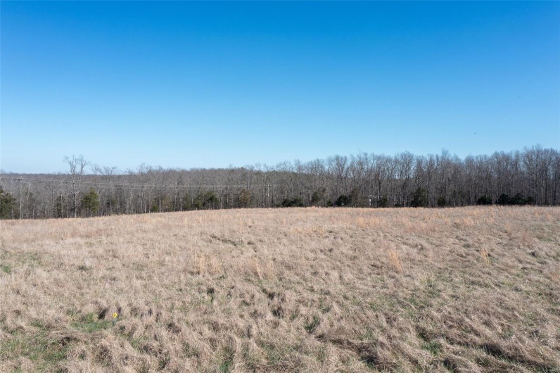 4 BCR 924, Patton, Missouri 63662, ,Farm,For Sale,BCR 924,MAR25018059