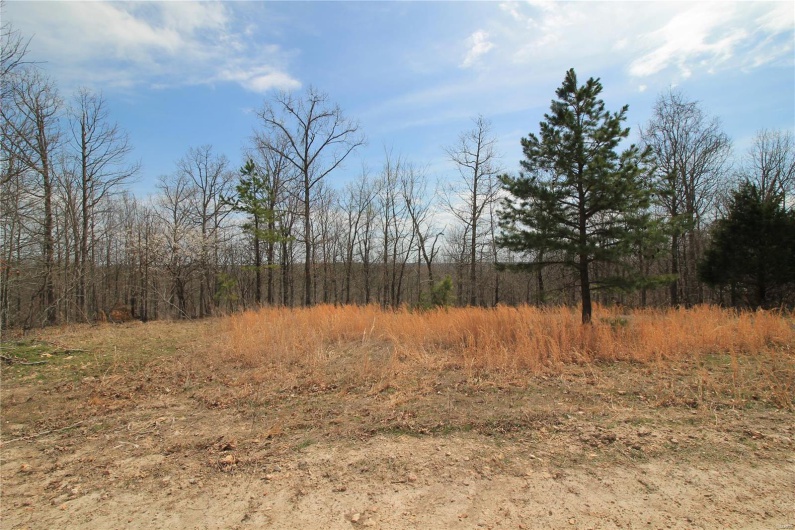 0 Madison CR 411 (121a), Fredericktown, Missouri 63645, ,Farm,For Sale,Madison CR 411 (121a),MAR25019555