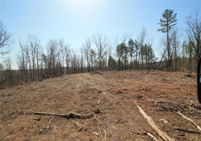 0 Madison CR 411 (121a), Fredericktown, Missouri 63645, ,Farm,For Sale,Madison CR 411 (121a),MAR25019555