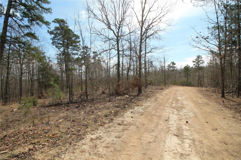 0 Madison CR 411 (121a), Fredericktown, Missouri 63645, ,Farm,For Sale,Madison CR 411 (121a),MAR25019555