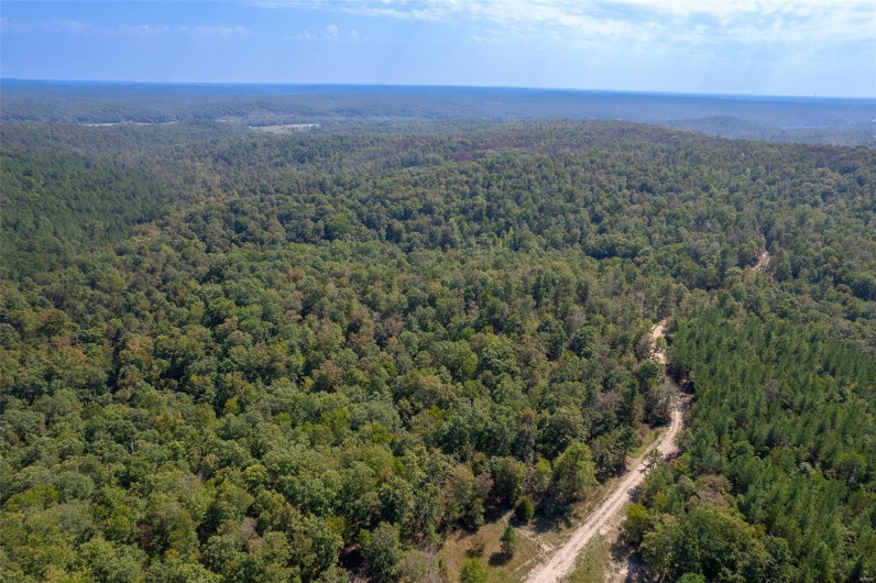 0 Madison CR 411 (121a), Fredericktown, Missouri 63645, ,Farm,For Sale,Madison CR 411 (121a),MAR25019555