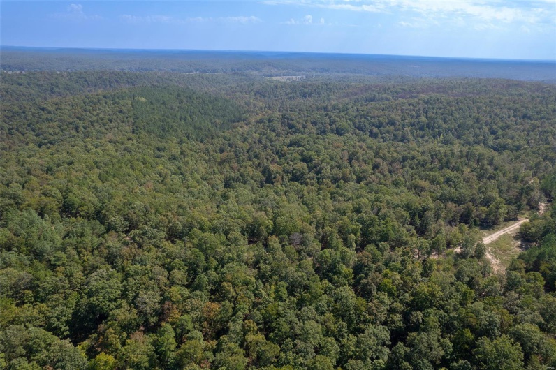 0 Madison CR 411 (121a), Fredericktown, Missouri 63645, ,Farm,For Sale,Madison CR 411 (121a),MAR25019555