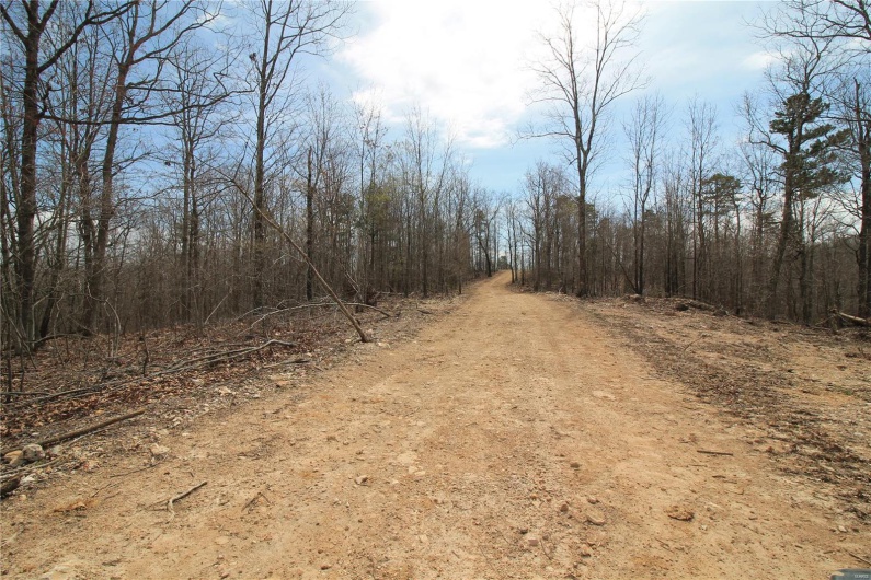 0 Madison CR 411 (121b), Fredericktown, Missouri 63645, ,Farm,For Sale,Madison CR 411 (121b),MAR25019587