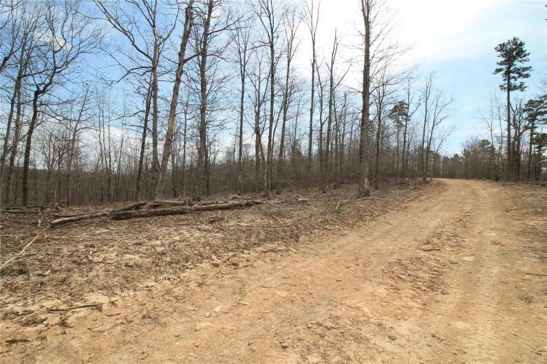 0 Madison CR 411 (121b), Fredericktown, Missouri 63645, ,Farm,For Sale,Madison CR 411 (121b),MAR25019587
