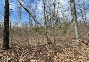 0 Madison 504, Fredericktown, Missouri 63645, ,Farm,For Sale,Madison 504,MAR25019598