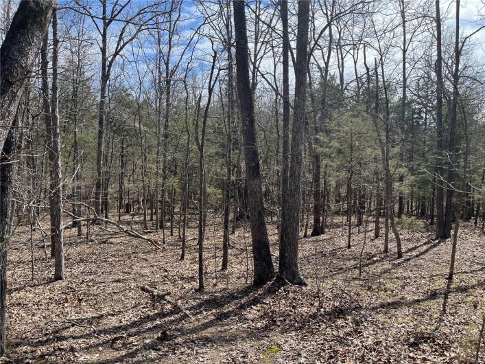 0 Madison 504, Fredericktown, Missouri 63645, ,Farm,For Sale,Madison 504,MAR25019598