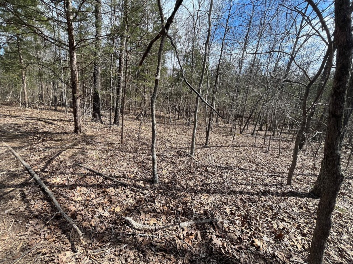 0 Madison 504, Fredericktown, Missouri 63645, ,Farm,For Sale,Madison 504,MAR25019598