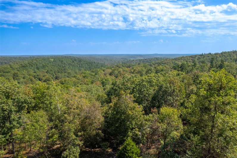 0 Madison CR 411 (122a), Fredericktown, Missouri 63645, ,Farm,For Sale,Madison CR 411 (122a),MAR25019627