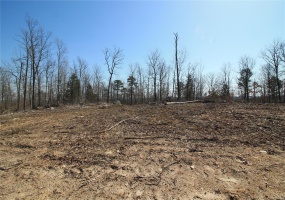 0 Madison CR 411 (122a), Fredericktown, Missouri 63645, ,Farm,For Sale,Madison CR 411 (122a),MAR25019627