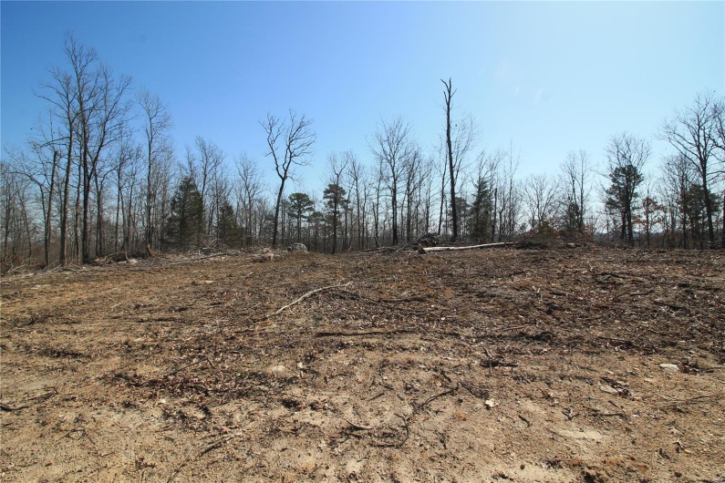 0 Madison CR 411 (122a), Fredericktown, Missouri 63645, ,Farm,For Sale,Madison CR 411 (122a),MAR25019627