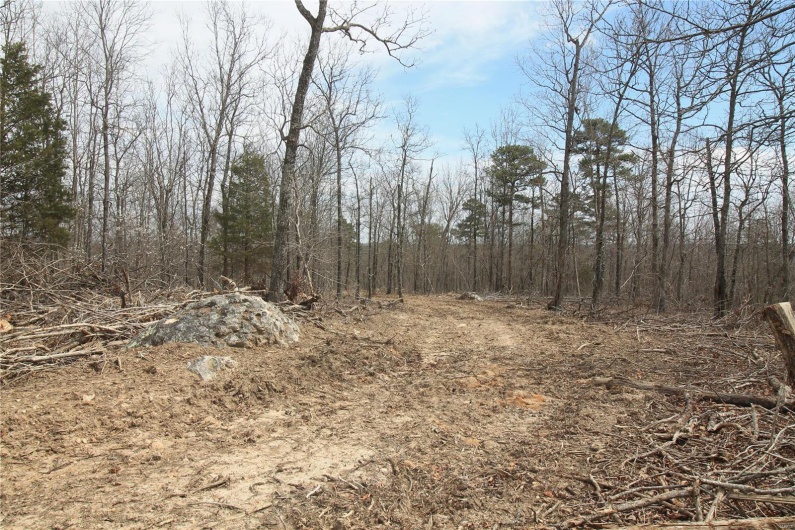 0 Madison CR 411 (122a), Fredericktown, Missouri 63645, ,Farm,For Sale,Madison CR 411 (122a),MAR25019627