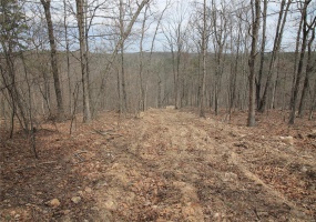 0 Madison CR 411 (122b), Fredericktown, Missouri 63645, ,Farm,For Sale,Madison CR 411 (122b),MAR25019629