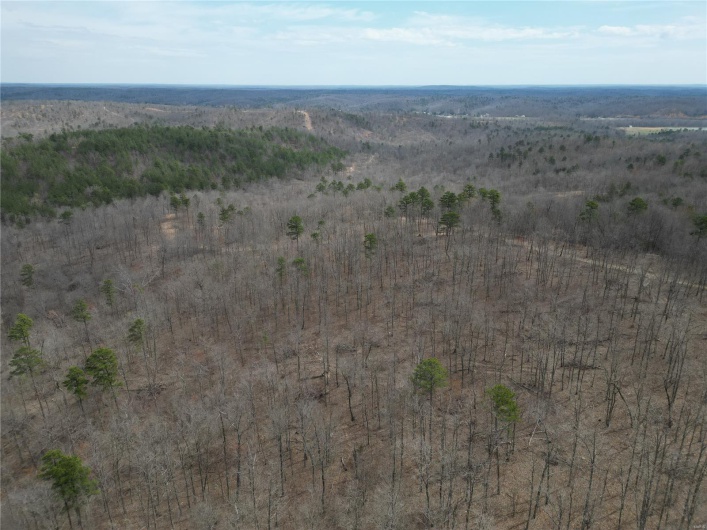 0 Madison CR 411 (122b), Fredericktown, Missouri 63645, ,Farm,For Sale,Madison CR 411 (122b),MAR25019629