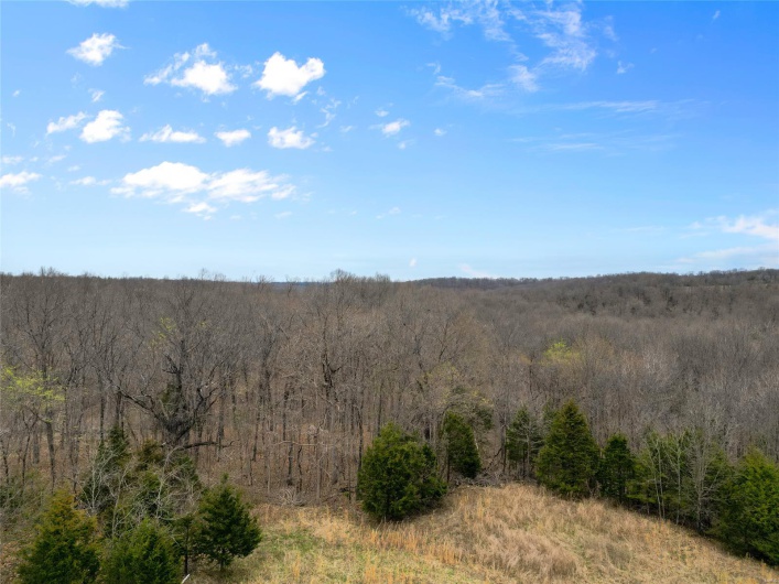 View of nature with a wooded view