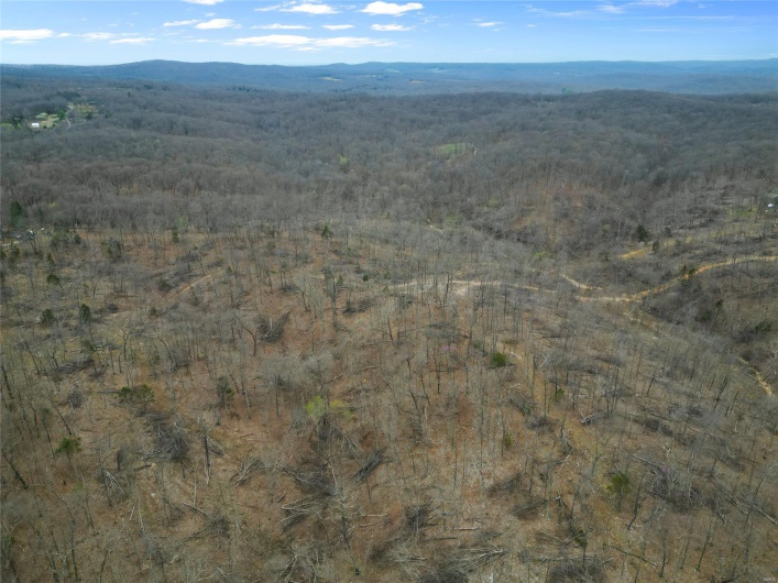 Drone / aerial view featuring a forest view and a mountain view