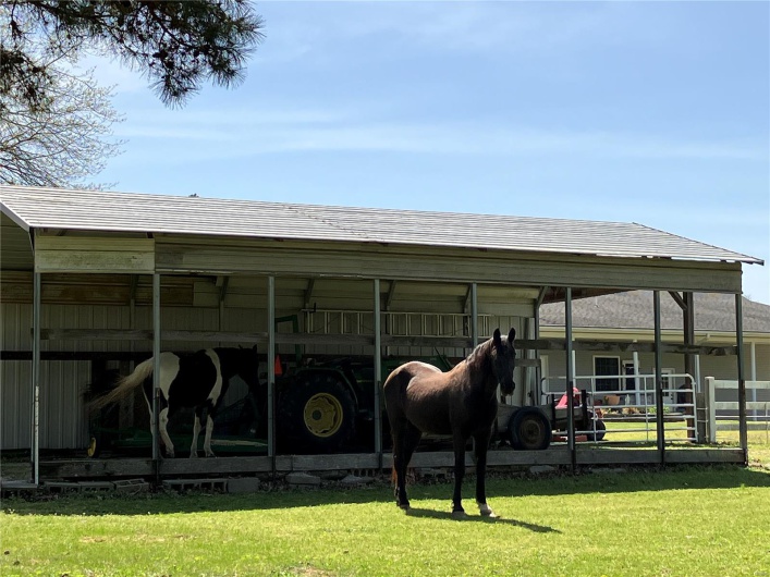 View of horse barn