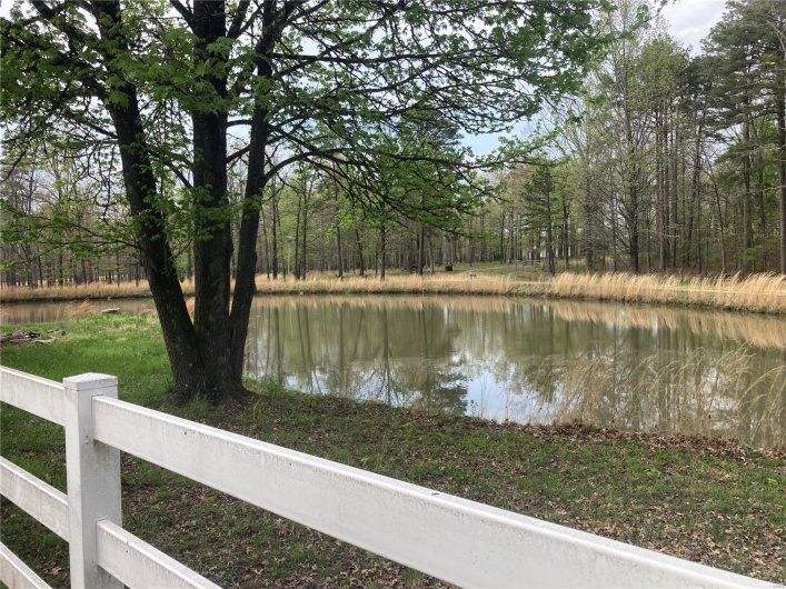Water view featuring a wooded view
