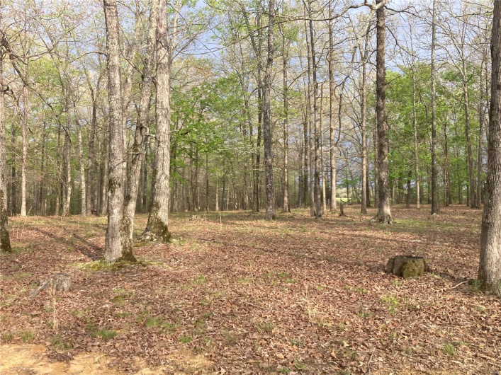 View of landscape with a forest view