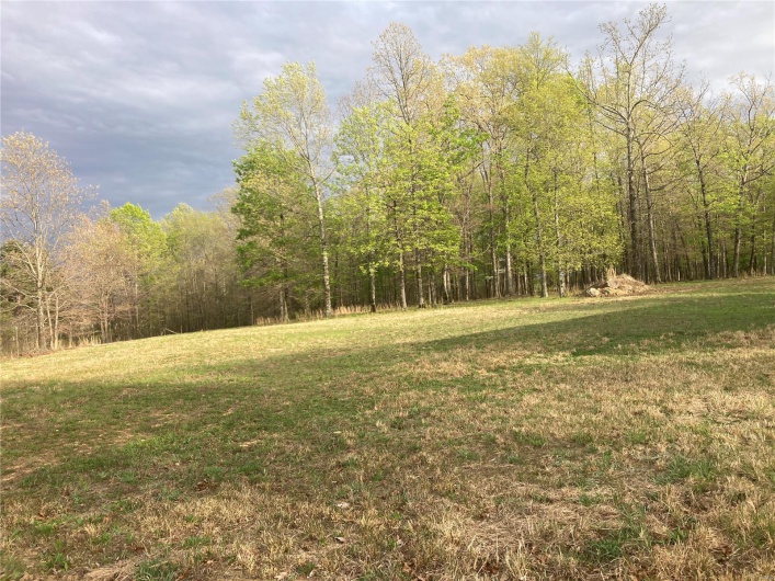 View of yard with a wooded view