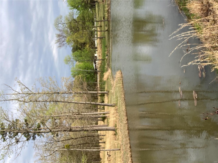 View of water feature