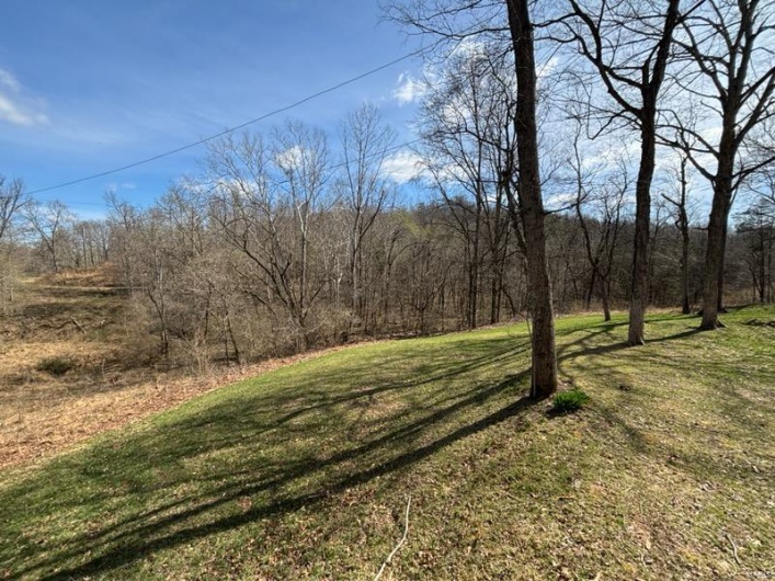 1179 Wayne 307A, Silva, Missouri 63964, 3 Bedrooms Bedrooms, 9 Rooms Rooms,2 BathroomsBathrooms,Residential,For Sale,Wayne 307A,MAR25019741