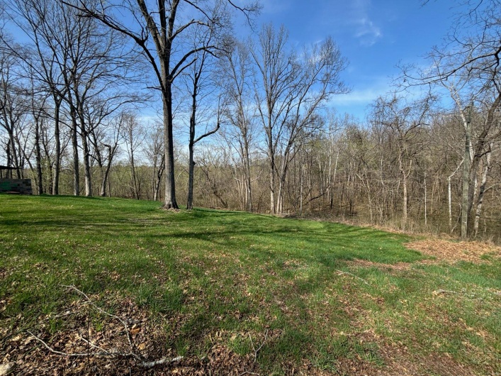 1179 Wayne 307A, Silva, Missouri 63964, 3 Bedrooms Bedrooms, 9 Rooms Rooms,2 BathroomsBathrooms,Residential,For Sale,Wayne 307A,MAR25019741