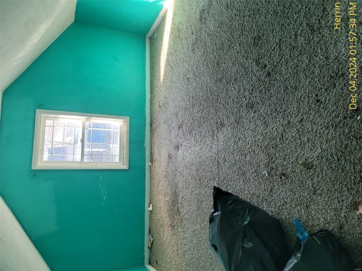 Bonus room featuring lofted ceiling and carpet