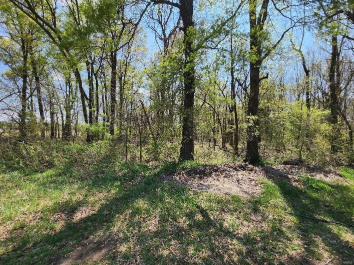 0 County Road 268, Neelyville, Missouri 63954, ,Land,For Sale,County Road 268,MAR25019952