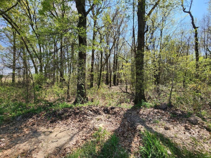 0 County Road 268, Neelyville, Missouri 63954, ,Land,For Sale,County Road 268,MAR25019952
