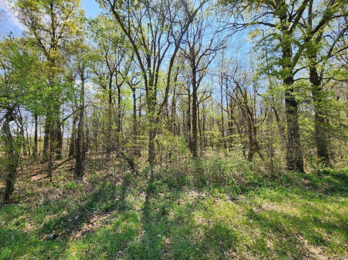 0 County Road 268, Neelyville, Missouri 63954, ,Land,For Sale,County Road 268,MAR25019952