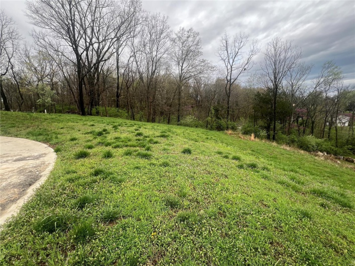 725 Old Mill Drive, Cape Girardeau, Missouri 63701, ,Land,For Sale,Old Mill,MAR25019870