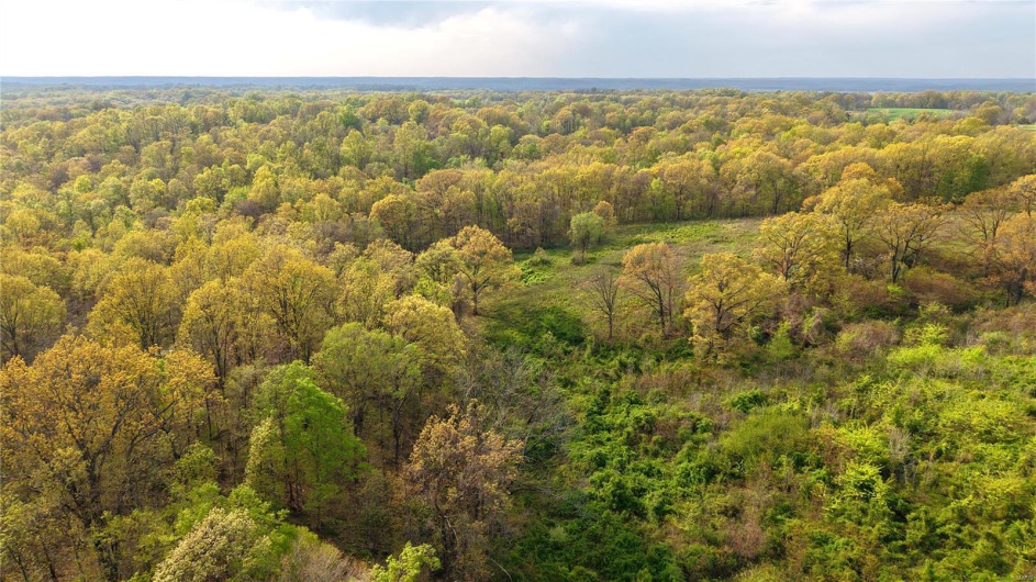 Drone / aerial view with a view of trees