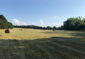 23479 Highway 32, Belleview, Missouri 63623, ,Farm,For Sale,Highway 32,MAR25009615