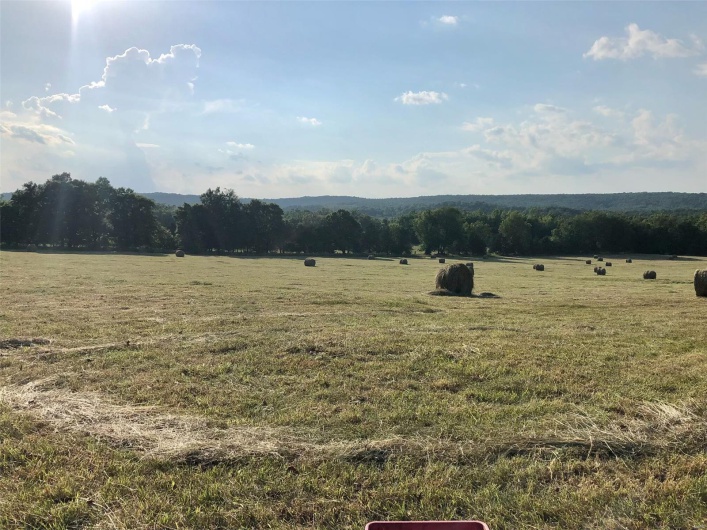 23479 Highway 32, Belleview, Missouri 63623, ,Farm,For Sale,Highway 32,MAR25009615