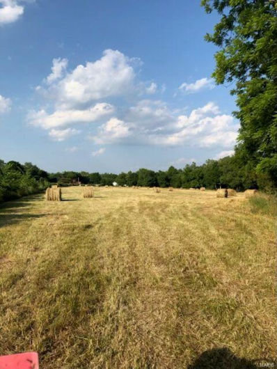 23479 Highway 32, Belleview, Missouri 63623, ,Farm,For Sale,Highway 32,MAR25009615