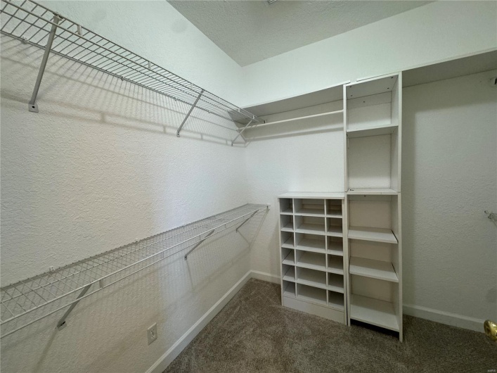 Walk in closet featuring carpet floors