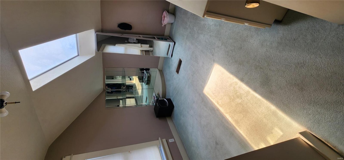 Additional living space with baseboards, vaulted ceiling with skylight, and carpet floors