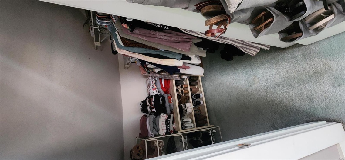 Walk in closet with lofted ceiling and carpet flooring